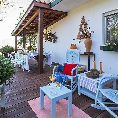 Charming House In - Casa Do Campo Da Vinha * Arouca